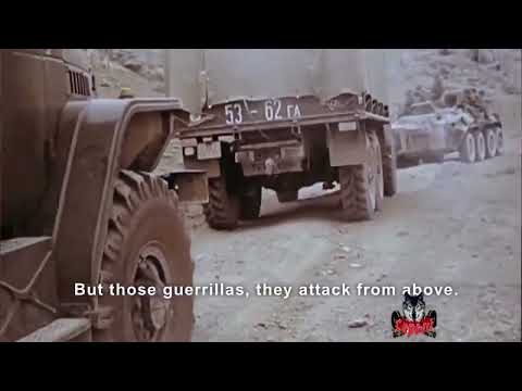 Видео: Дорога  длиною в жизнь