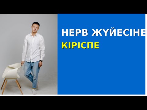 Видео: Нерв жүйесіне кіріспе сабақ