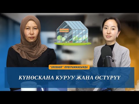 Видео: Күнөскана куруу жана өстүрүү