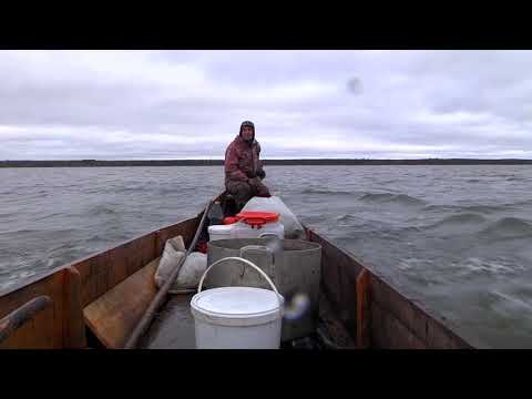 Видео: Ямозеро 5 часть.