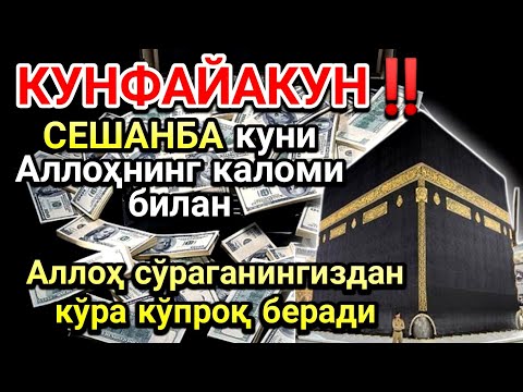 Видео: СЕШАНБА куни Пайғамбар Муҳаммад ﷺ дуоси, инша Аллоҳ, омонлик, бойлик ва муваффақият келтиради