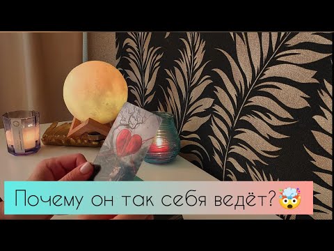 Видео: Почему он так себя ведёт? 🤯