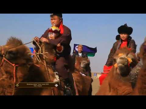 Видео: Өмнөговь аймгийн Түмэн тэмээ 2023 баяр наадам