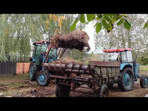Видео: Тракторы МТЗ-52. Грузим навоз.