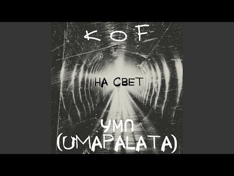 Видео: На свет