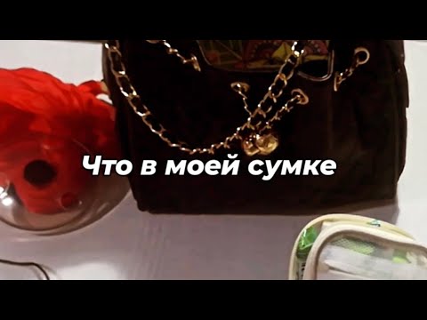 Видео: Что в моей сумке 👜 Ноябрь 2025 🍁What's  in my bag🍂