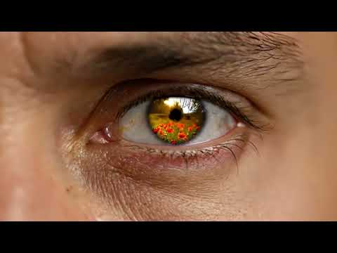 Видео: Александр Блок - Ушла. Но гиацинты ждали (Gothic Acoustic / Dark Folk Song)