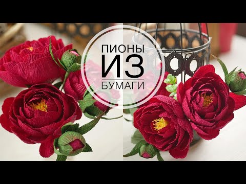 Видео: PEONY from paper for flower arrangements /ПИОНЫ из  бумаги для цветочных композиций /DIY TSVORIC