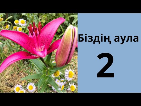 Видео: Біздің аула 2 бөлім