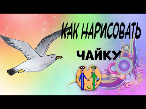 Видео: Как нарисовать чайку карандашом. Онлайн-школа рисования "Малевашки"