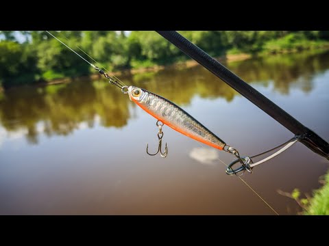 Видео: СЛОМАННАЯ ЛОПАТКА НА ВОБЛЕРЕ НЕ ПРИГОВОР. ЛОВЛЯ ЖЕРЕХА НА ВОБЛЕР.