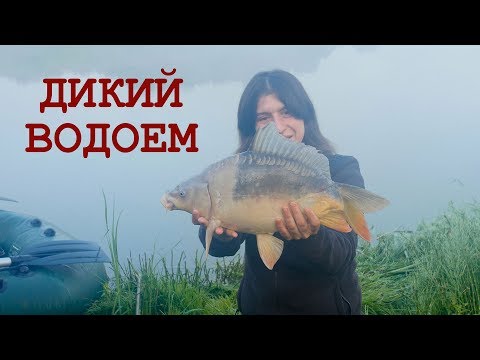 Видео: Секреты рыбалки на карпа. Ловля на диком водоеме