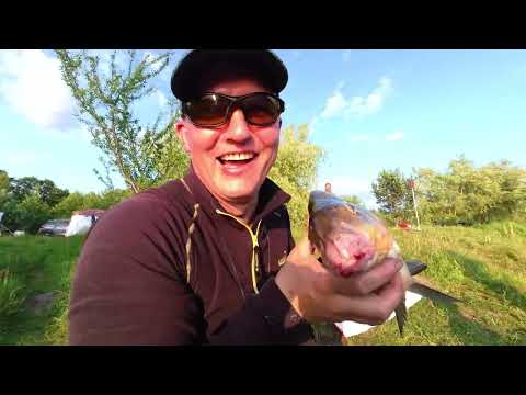 Видео: Река Свислочь