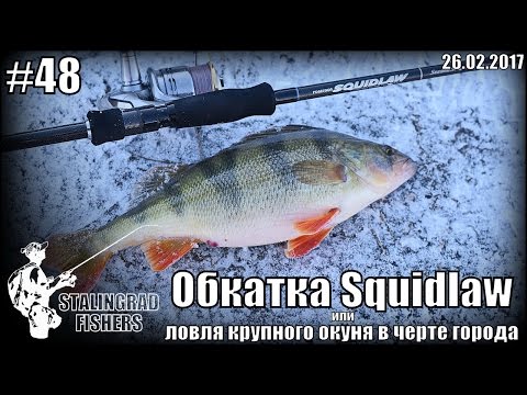 Видео: Обкатка Squidlaw или ловля крупного окуня в черте города - 26.02.2017