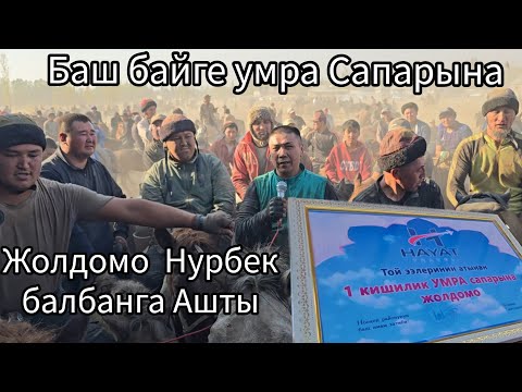 Видео: Бүгүнкү Аламан улак 23 октября 2025  умра сапарына Нурбек балбан ашырды #той  #аламанулак #horse 