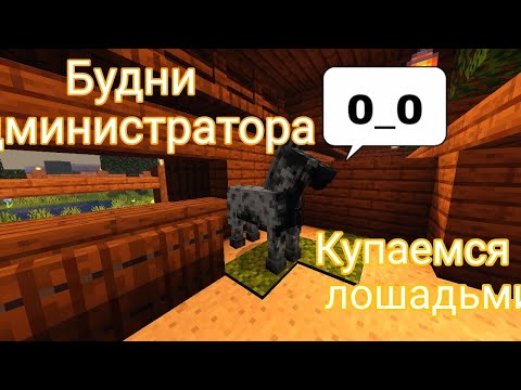 Видео: Купаемся с лошадьми|| будни Администратора|| кск в Майнкрафт