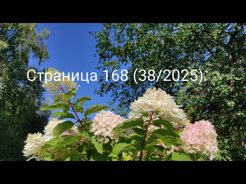 Видео: Вязальный дневничок. Страница 168.