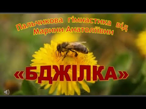 Видео: Пальчикова гімнастика до теми Комахи