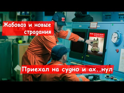 Видео: Работа на судне в новой компании. Вахта в море. Условия. Первые впечатления и бесконечные страдания