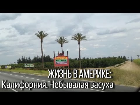 Видео: Калифорния. Небывалая засуха. Что стало с моим садом, и при чем тут ваш английский? Лос-Анджелес.