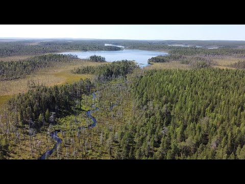 Видео: Рыбалка на медвежьем озере. Крупная щука на кружки. Лов на самоловки. Провёл ночь в лодке и обалдел