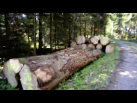 Видео: Центральный рынок Калининграда. Старинный форт.Светлогоп\рск и Балтийск.