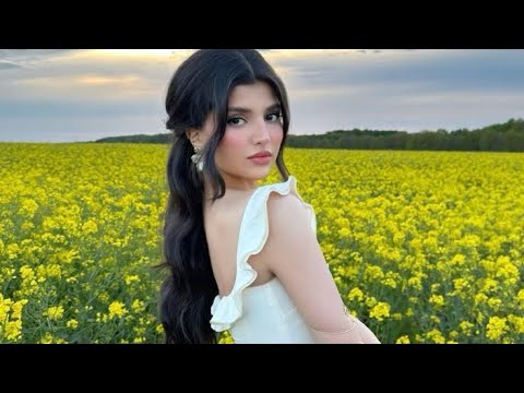 Видео: Сеймур Веледов - Пери Яр (Лезгинская песня)
