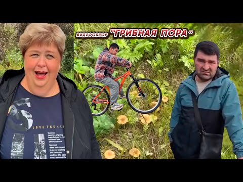 Видео: ОЛЬГА УРАЛОЧКА LIVE//ГРИБНАЯ ПОРА//
