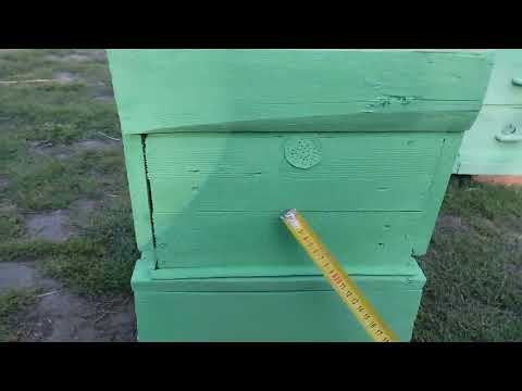 Видео: Как можно собрать простой улей из поддонов 