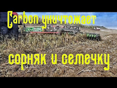 Видео: Дисковая борона Carbon D10500 работа по сорняку и семечке.