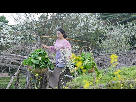 Видео: квашеные капусты | Стол с горячими блюдами из квашеной капусты согревает всю весну.