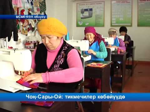 Видео: Чоң-Сары-Ой: тикмечилер көбөйүүдө