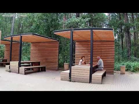 Видео: #Чернявский  лес. #Стрим парк. #Андрей. #Доступнаясреда.#ПрогулкапоПерми,  #Андрей. #Shorts