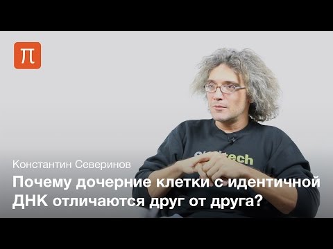 Видео: Генетический шум — Константин Северинов