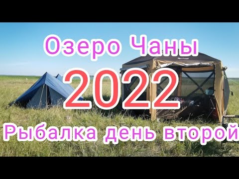 Видео: Утренний клëв -озеро Чаны. 10июля 2022