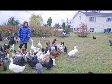 Видео: СЕЛЬЧАНКА В АМЕРИКЕ. 