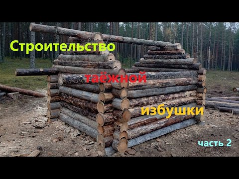 Видео: Строительство таёжной избушки часть 2