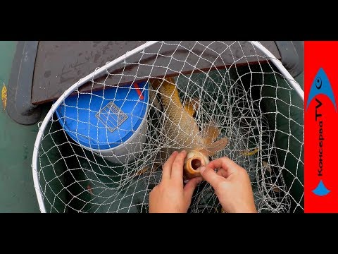 Видео: За САЗАНОМ в НОЯБРЕ. Как ловить КАРПА поздней осенью.