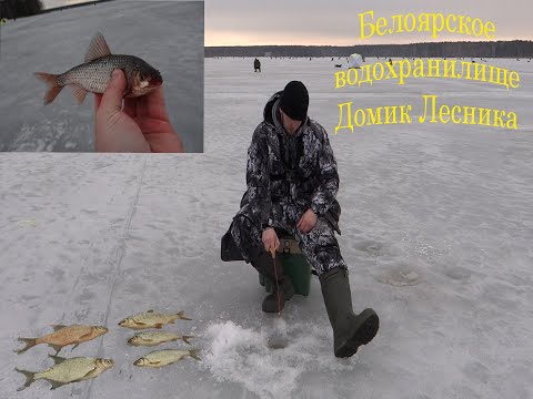 Видео: Зимняя рыбалка. Белоярское водохранилище. Домик Лесника. Закрытие сезона твердой воды 2019-2020.