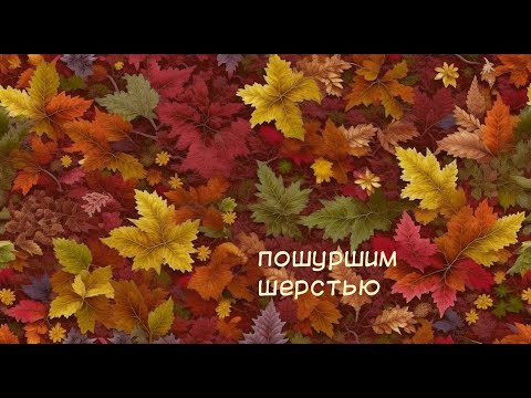 Видео: Пошуршим шерстью, мастер-класс по валянию интерьерного войлока от Клары Ру