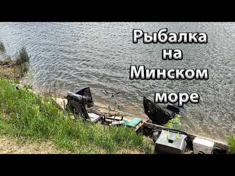 Видео: Фидерная ловля на Минском море .