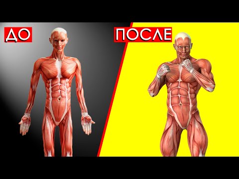 Видео: Как Быстро Набрать Мышечную Массу, Если ты Худой