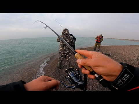 Видео: ВОТ ЭТО РЫБАЛКА !!! КАЖДЫЙ ЗАБРОС- СУДАК !!! РЫБАЛКА на СУДАКА с БЕРЕГА 2023 г .08 . 11 .