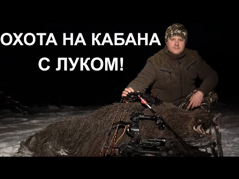 Видео: Охота с блочным луком на кабана.
