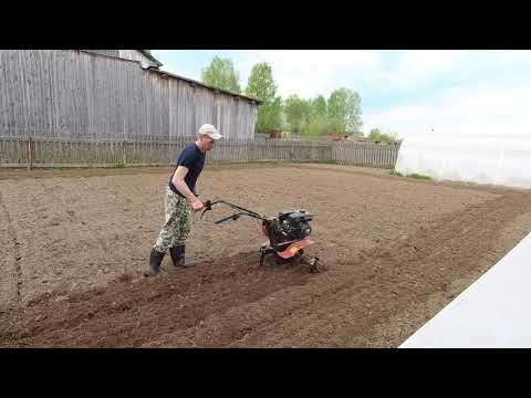 Видео: Культивация участка мотоблоком "Ока" c Фрезами "Гусиные Лапки"