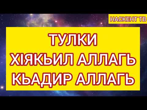 Видео: ТУЛКИ-ХIЯКЬИЛ АЛЛАГЬ КЬАДИР АЛЛАГЬ 