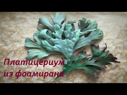 Видео: Веточки зелени из фоамирана. Платицериум (папоротник Олений рог)