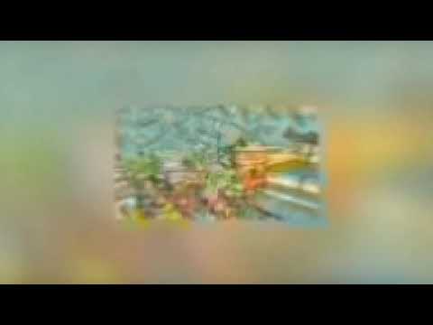 Видео: [Глобальный Лорд 100% шанс выпадения] главы 1-60 Альтернативный сюжет Глобальный Лорд