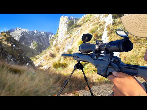 Видео: Лучшая охота моего года (9-дневная горная охота)