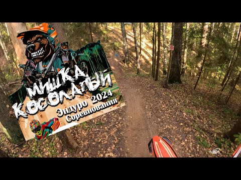 Видео: Мишка Косолапый 2024